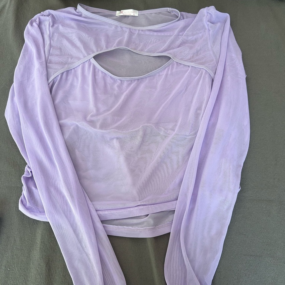 Lavender Sheer Long Sleeve Top